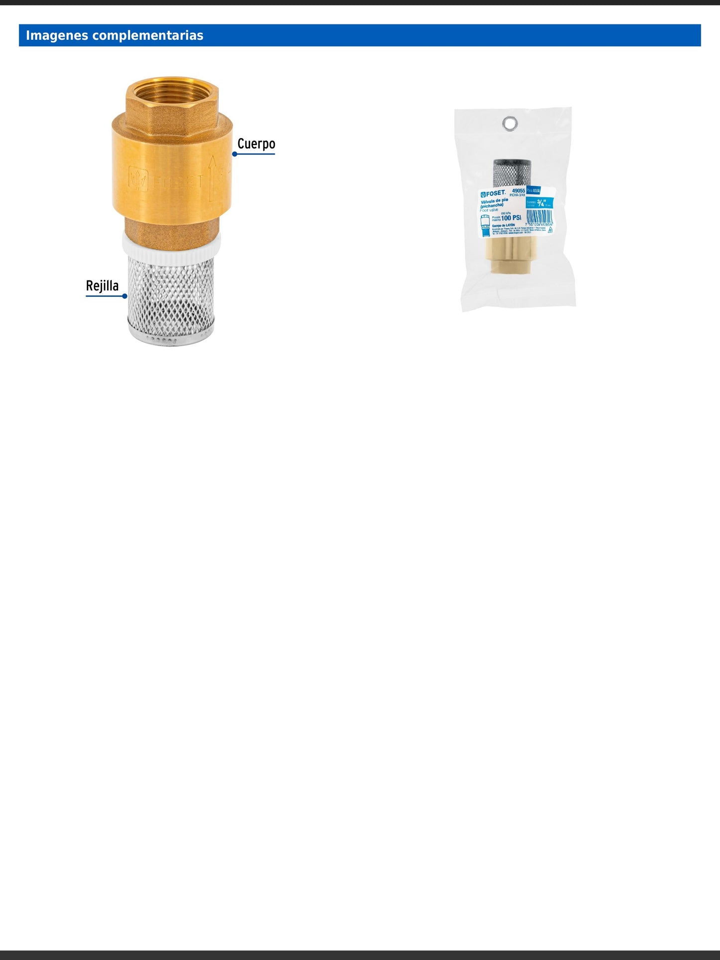 Pichancha de latón con rejilla de acero inoxidable de 3/4 pulgada para bombas de agua