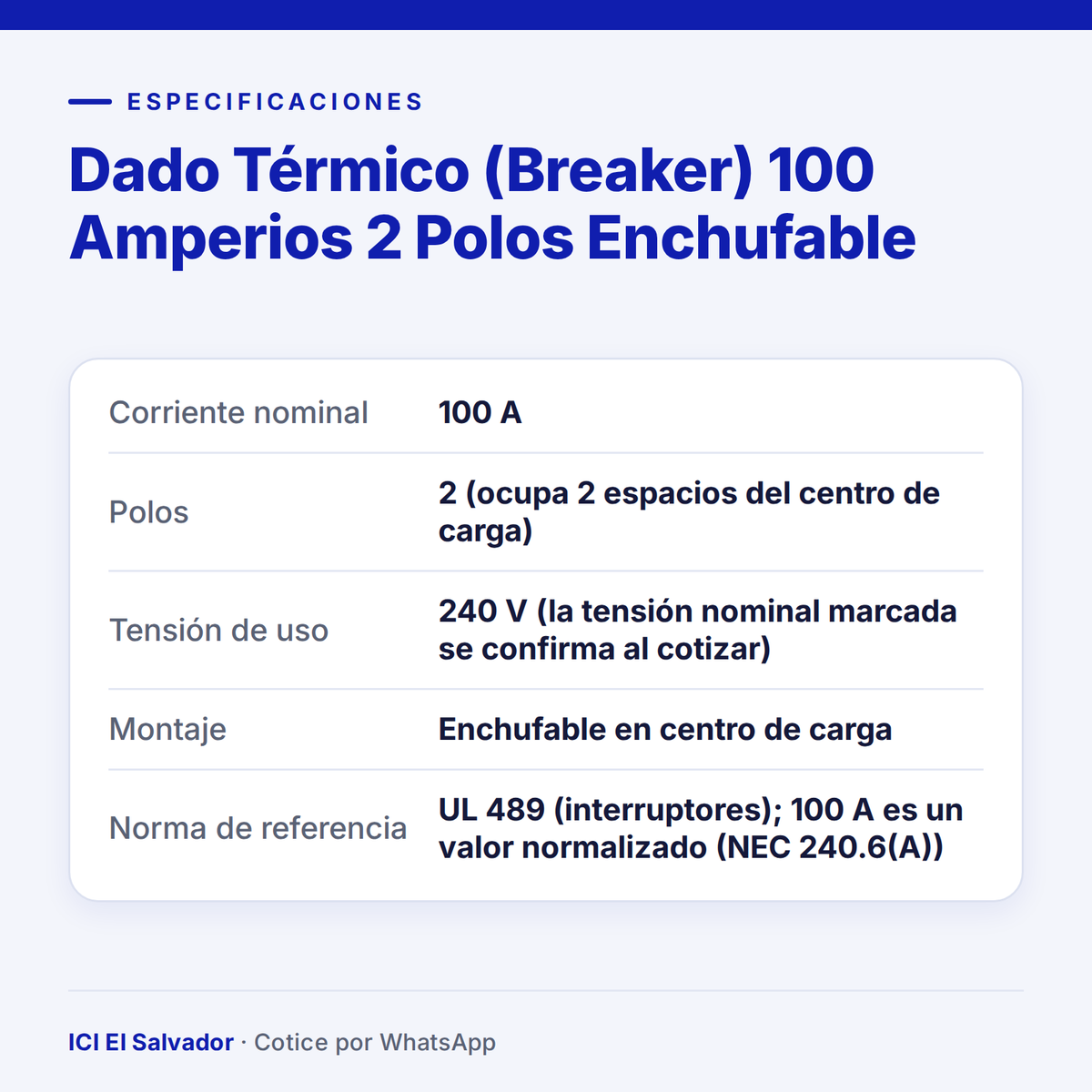 Dado térmico (breaker) 100 A 2 polos enchufable — tarjeta de especificaciones