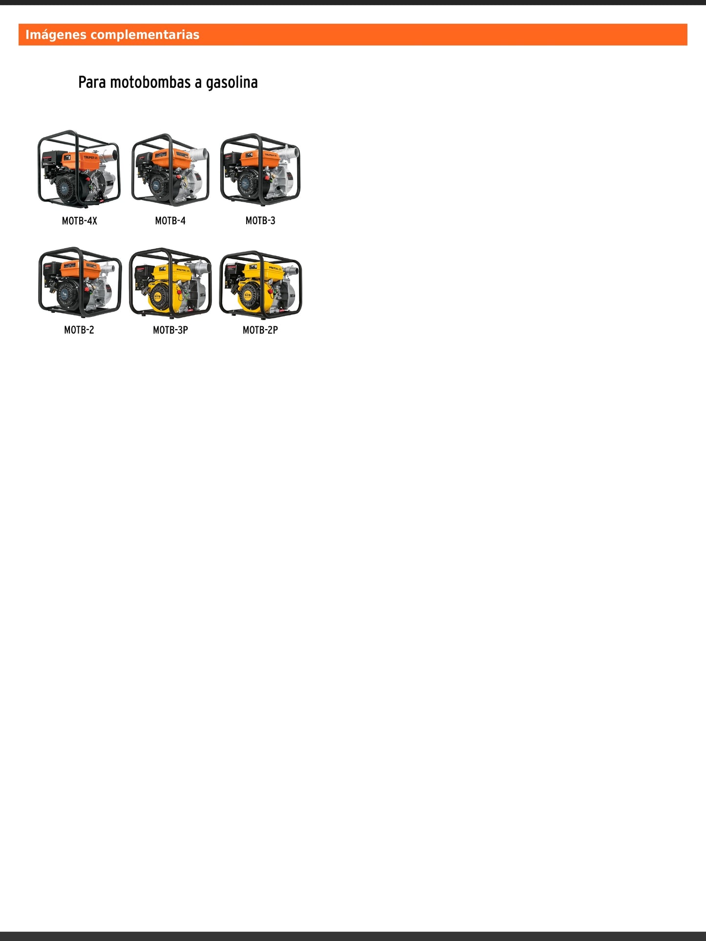 Filtro de gasolina para motobomba