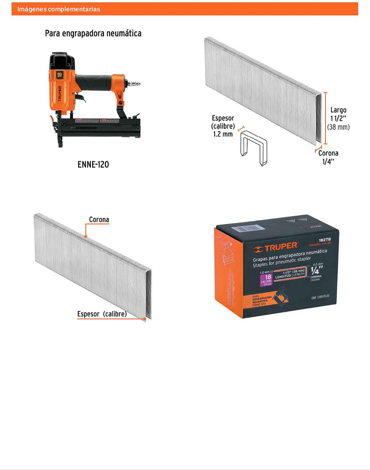 Caja 5000 grapas 1/4 pulg 38 mm