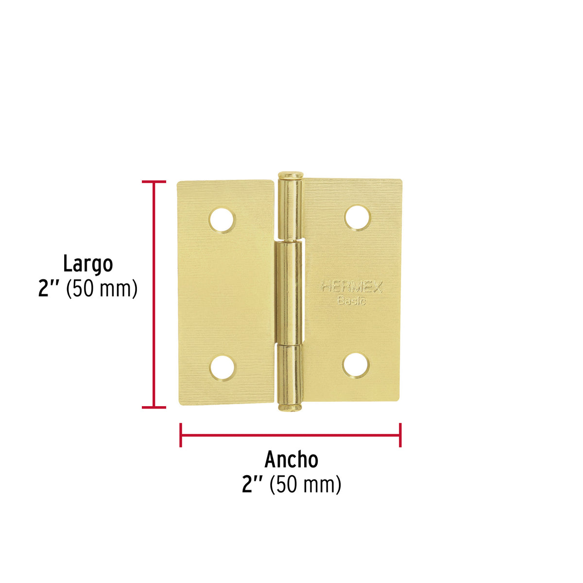 Bisagra cuadrada 2", acero latonado, cabeza plana, BASIC · vista 3
