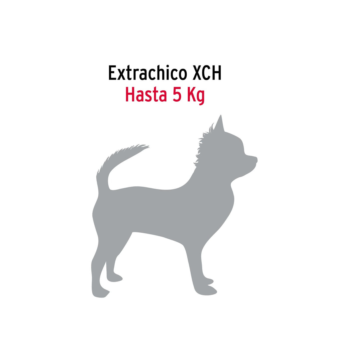 Cadena de paseo para perro 2 mm