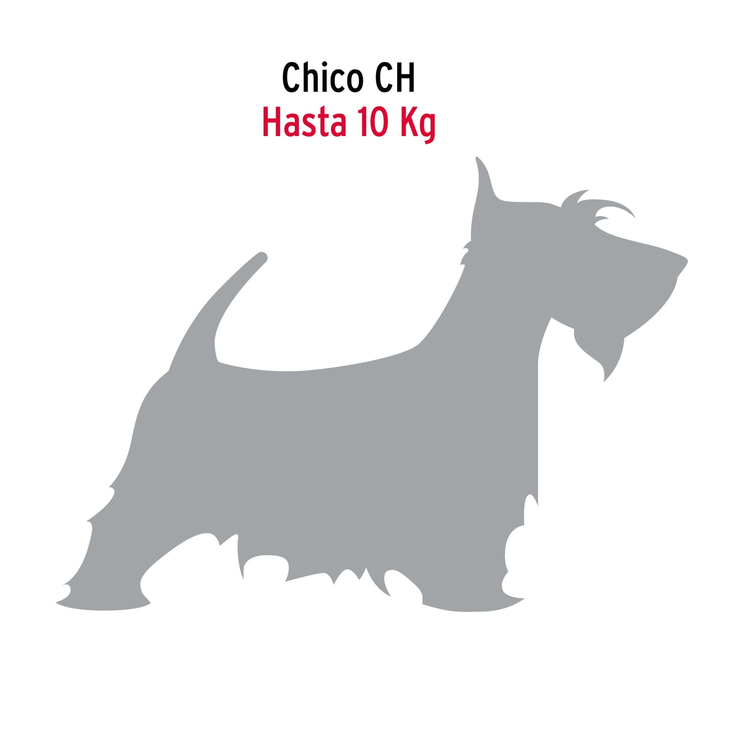 Cadena de paseo para perro 2.5 mm