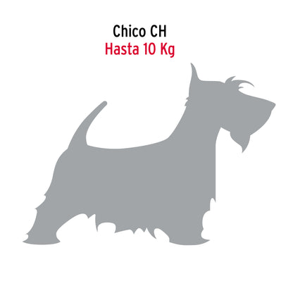 Cadena de paseo para perro 2.5 mm
