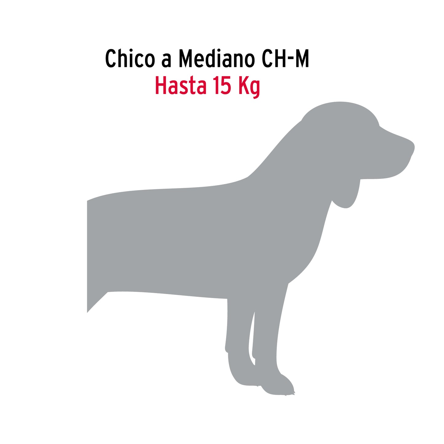 Cadena de paseo para perro 3 mm