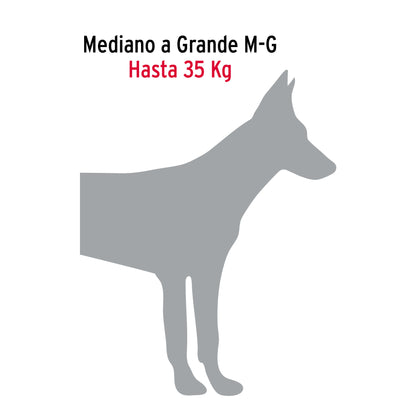 Cadena Paseo Perro Talla Mediano-Grande