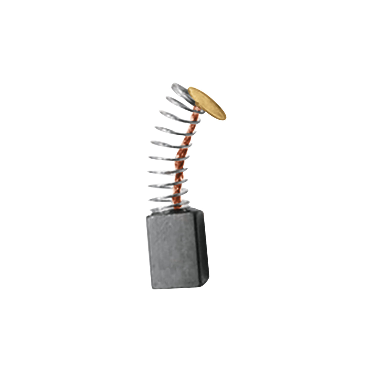2 carbones para CEPEL-3-1/4A4 - SKU 101830