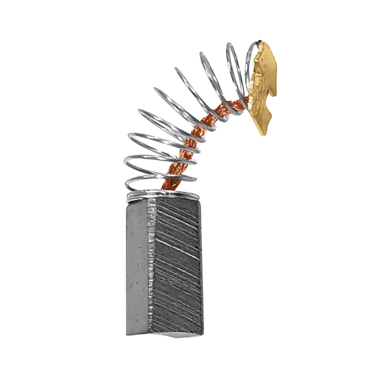 2 carbones d/repuesto p/ROTO-1/2P6 y 3/8P6 - SKU 27118
