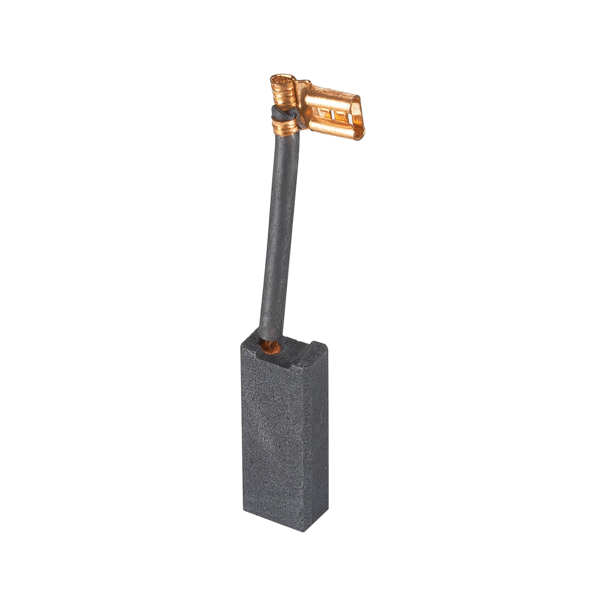 2 carbones para RPLUS-6NX - SKU 101984