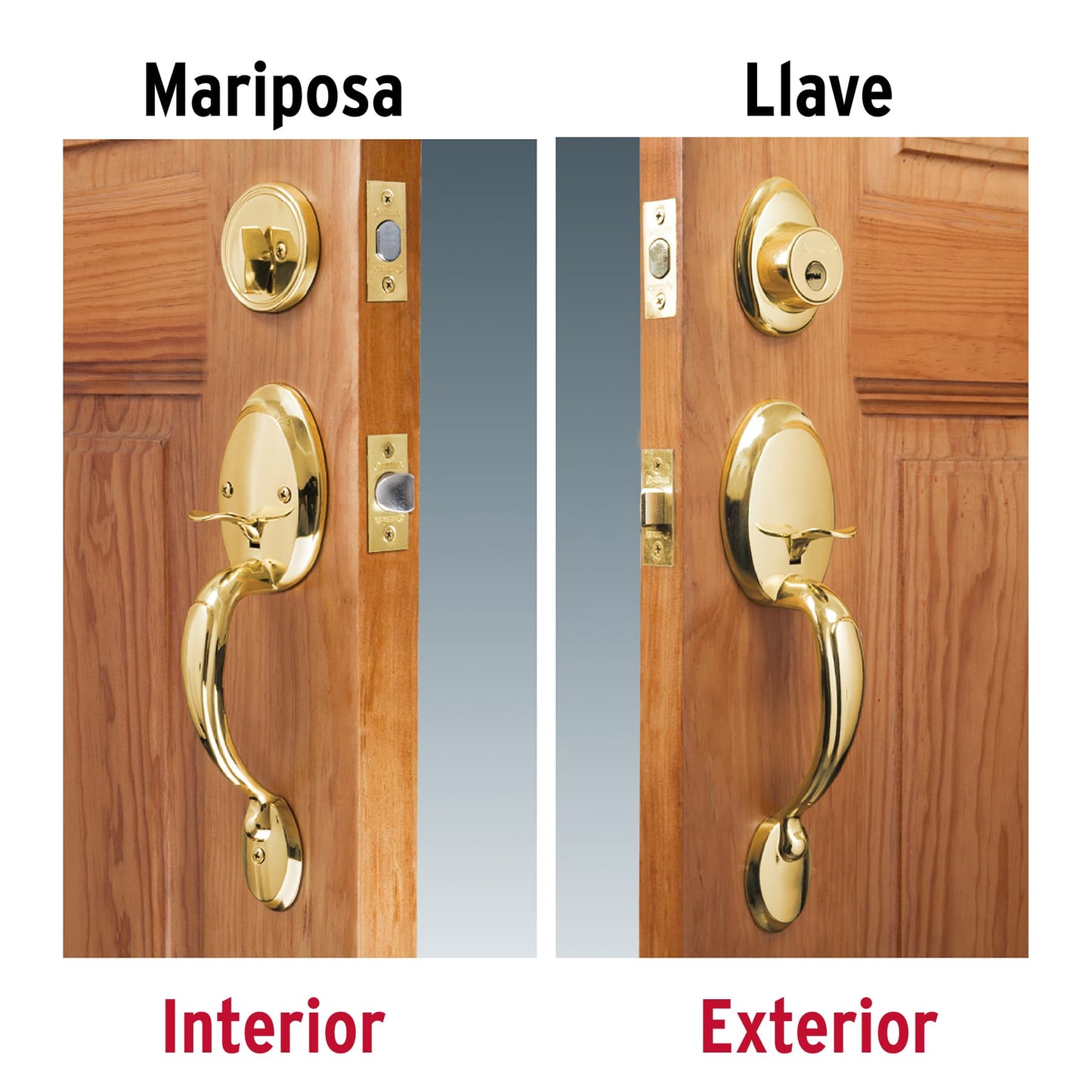 Doble jaladera y perilla de latón brillante con cerrojo llave mariposa