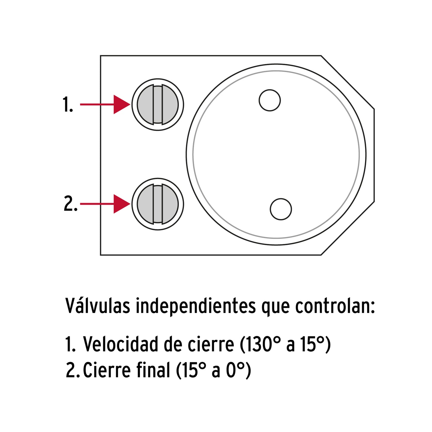Bisagra de doble acción de 3 pulgadas en acero latonado