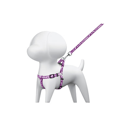 Correa Pechera Perro Talla Chica