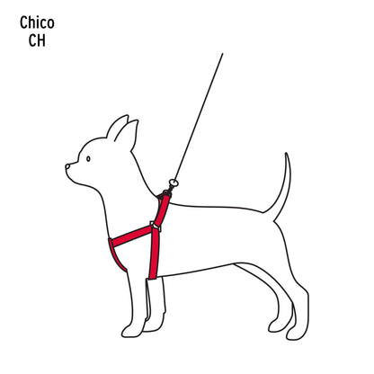 Correa Pechera Perro Talla Chica