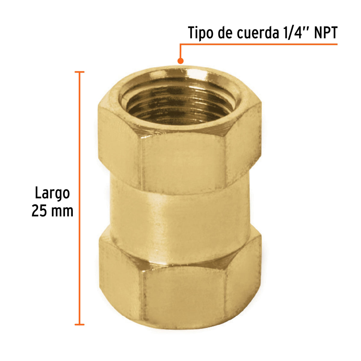 Cople de latón hembra-hembra 1/4 pulg