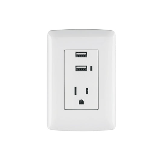 Contacto aterrizado de 127 V con 2 puertos USB y placa blanca