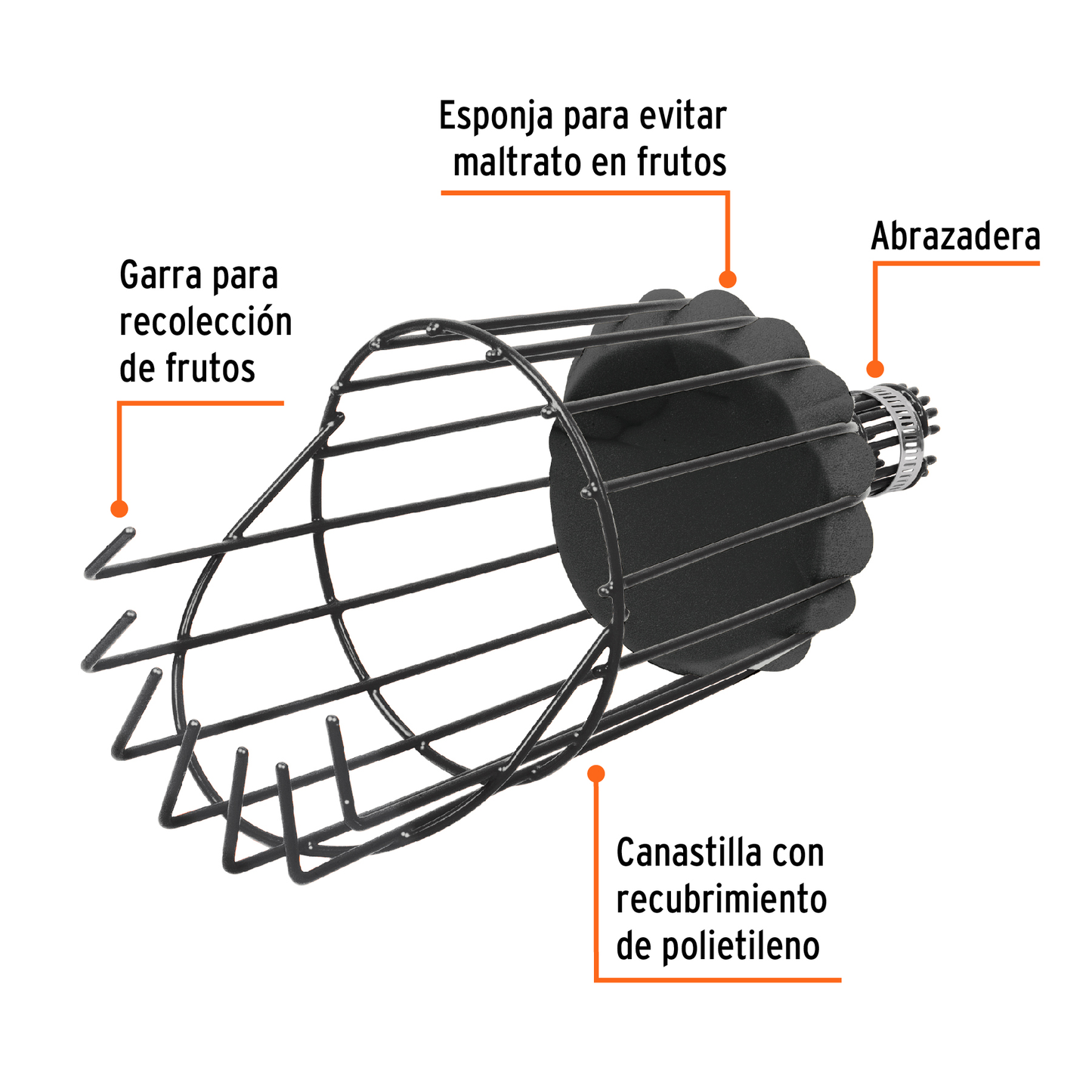 Recolector de fruta sin mango