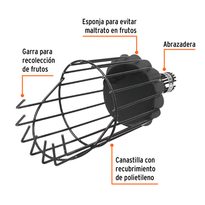 Recolector de fruta sin mango