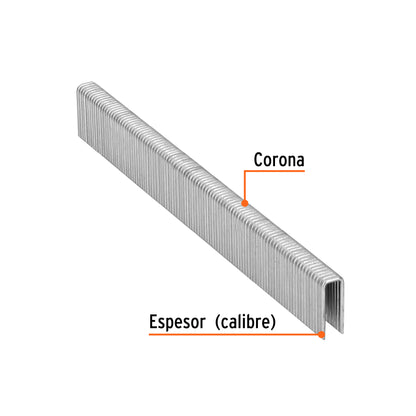 Caja 5000 grapas 1/4 pulg 16 mm