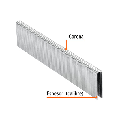 Caja 5000 grapas 1/4 pulg 25 mm