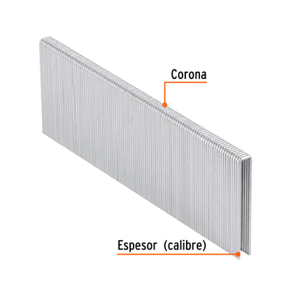 Caja 5000 grapas 1/4 pulg 40 mm