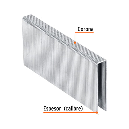 Caja 1000 grapas 7/16 pulg 50 mm