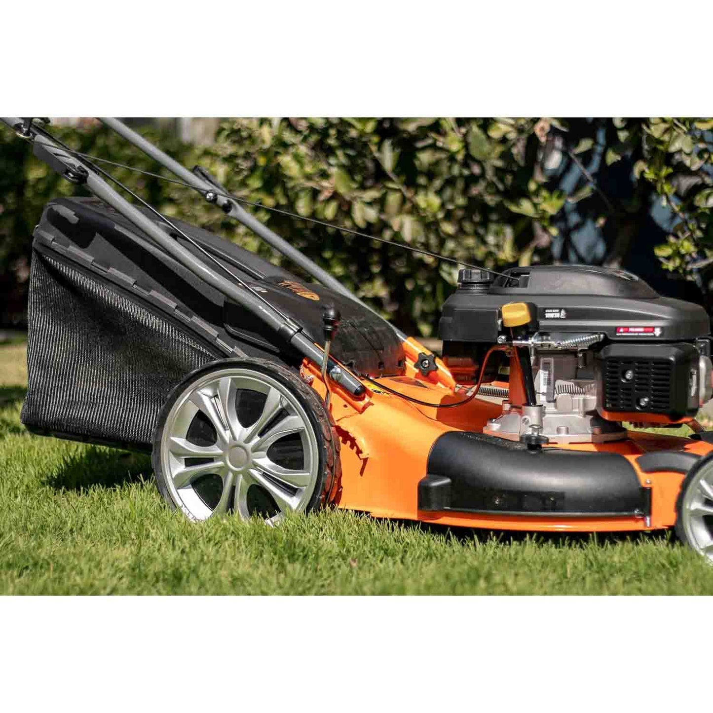 Podadora a gasolina de 6 HP con corte de 22 pulgadas