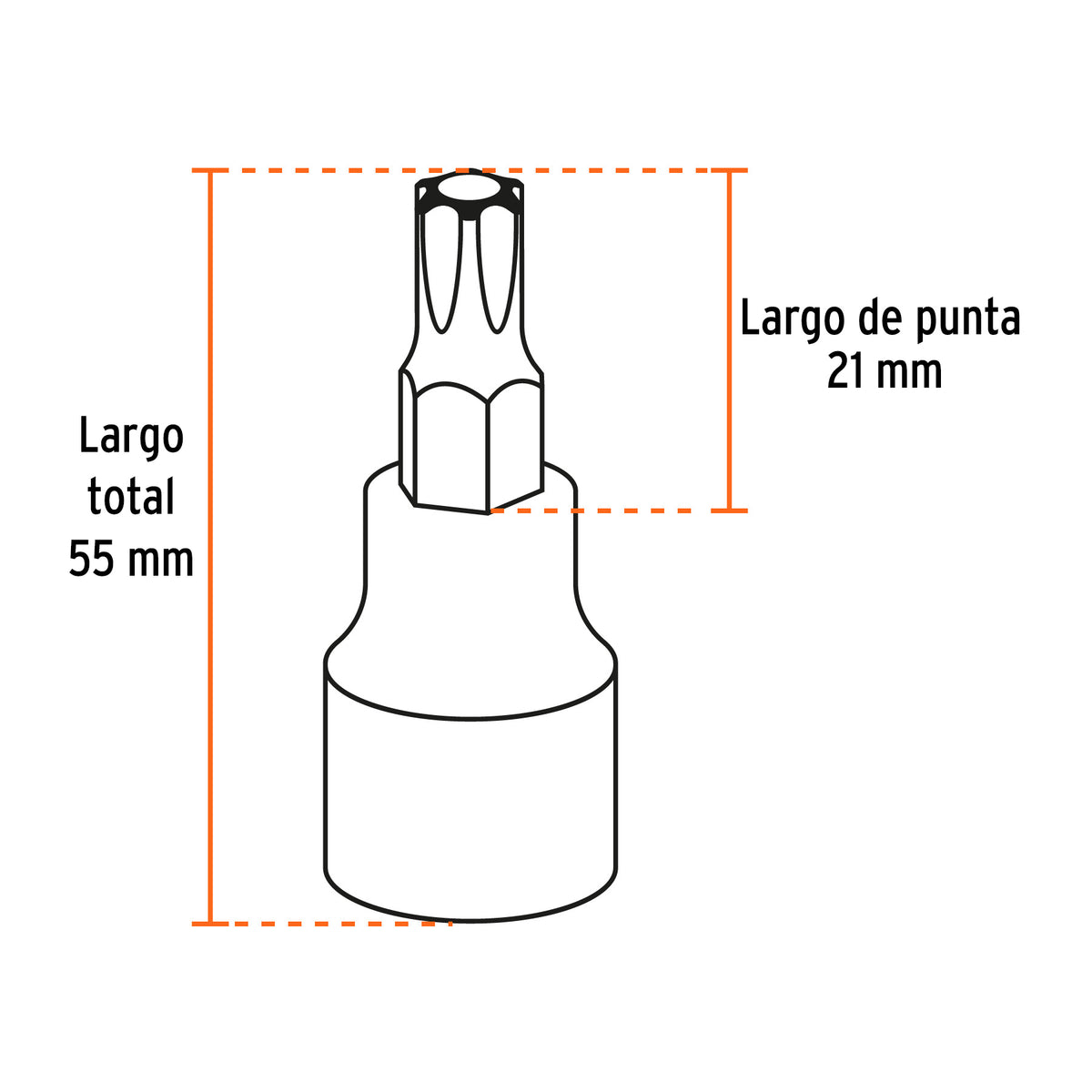 Juego de 7 dados cuadro 1/2" punta torx · vista 3