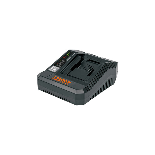 Cargador rápido de baterías de ion litio 20V