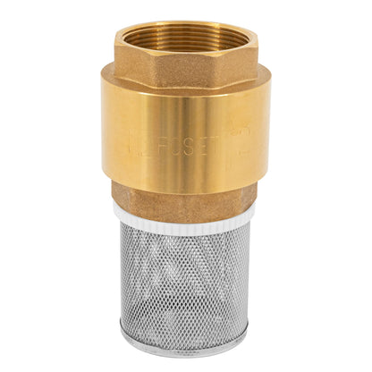 Pichancha de latón con rejilla de acero inoxidable de 2 pulgadas para bombas de agua
