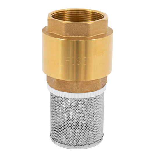 Pichancha de latón con rejilla de acero inoxidable de 2 pulgadas para bombas de agua