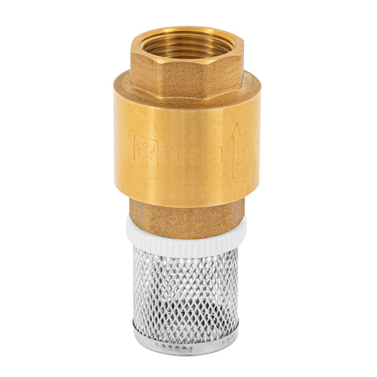 Pichancha de latón con rejilla de acero inoxidable de 3/4 pulgada para bombas de agua