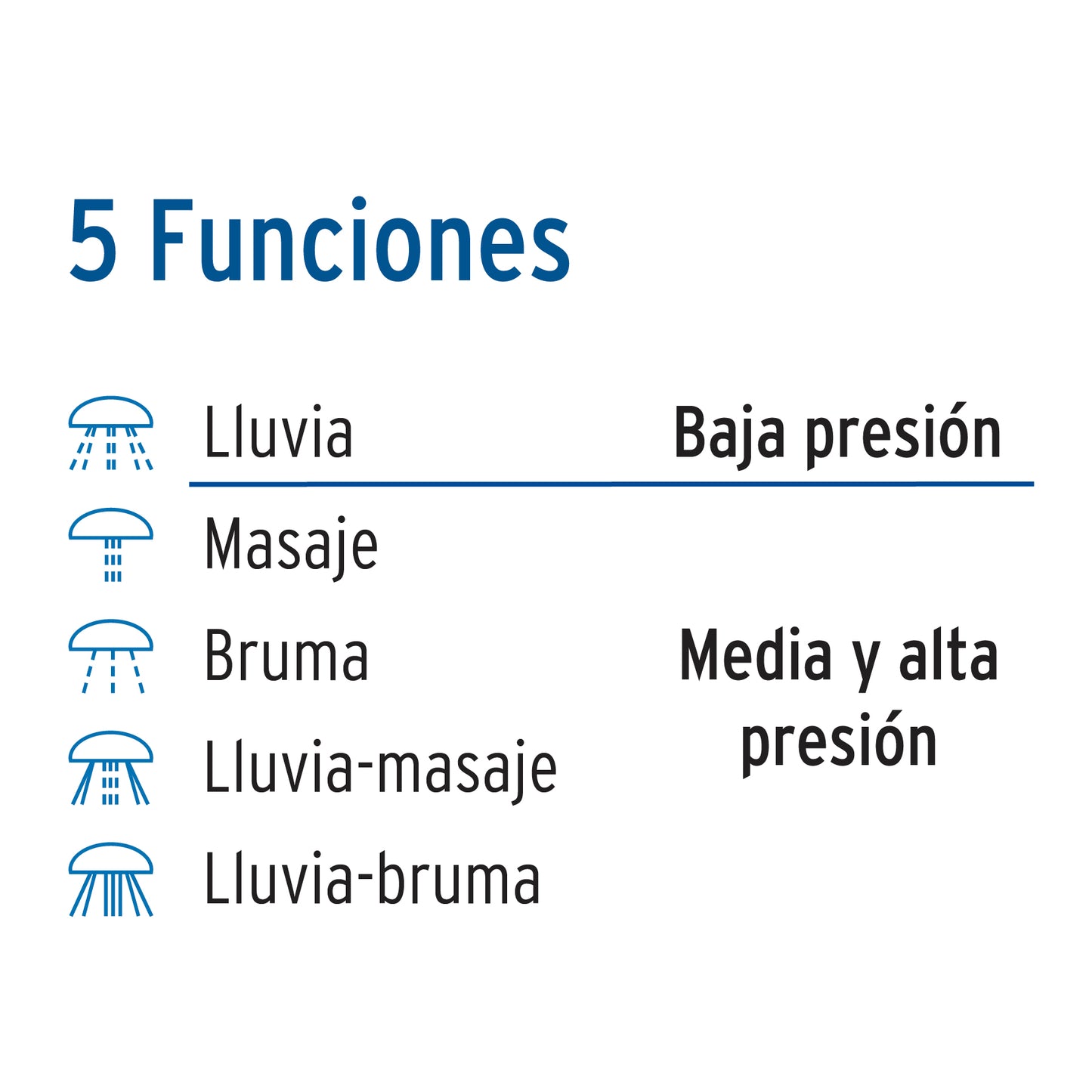 Regadera de 3-1/4" con 5 funciones y brazo cromado