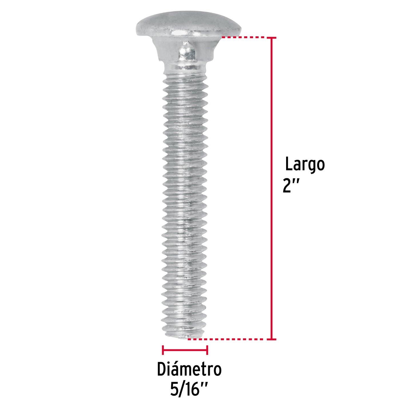 Tornillo coche galvanizado 5/16 x 2 pulg