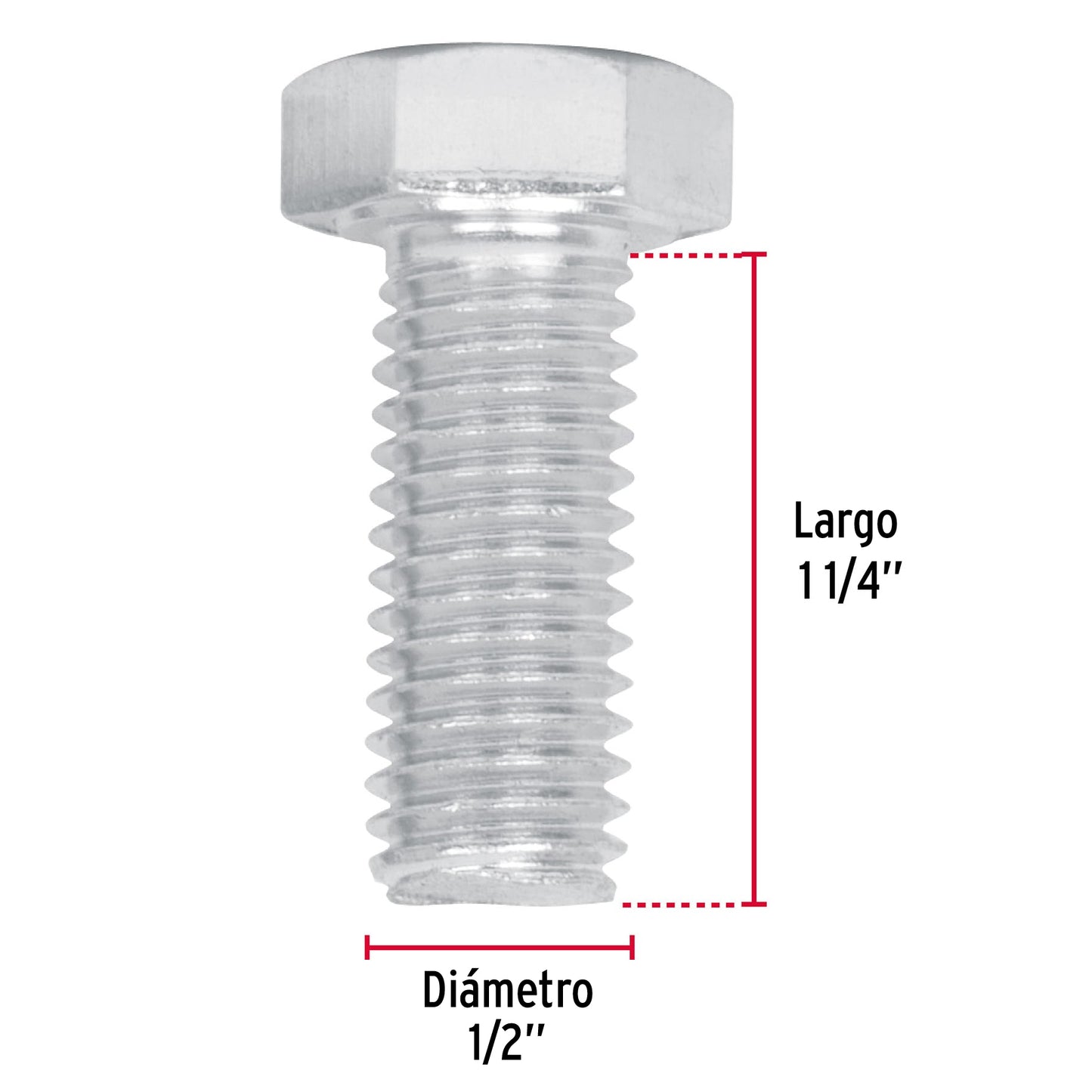 Tornillos tipo maquina 1/2 x 1-1/4