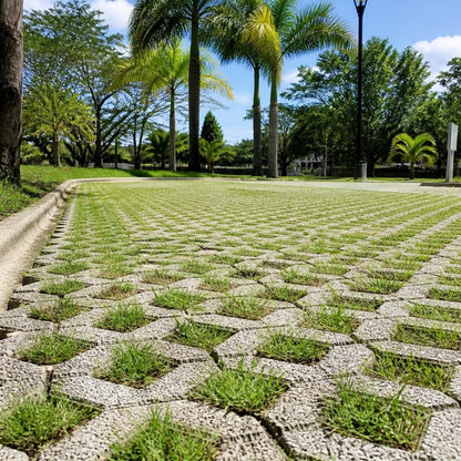 Gramoquín 20x40x10 cm (adoquín ecológico) — estacionamiento con grama