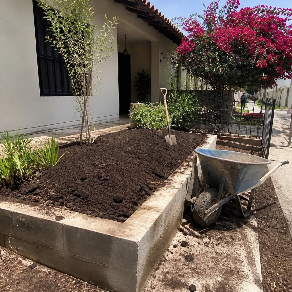Obra típica de jardinería en El Salvador: cantero de una casa relleno de tierra negra